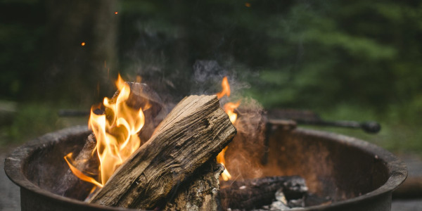 Welke houtsoort geeft meeste warmte